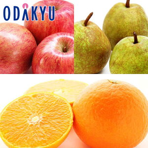 ݂   ΕDKi {̃t[cƍg܂ǂ 2.1kg G b121ȍ~zkCElEBEEւ͓͕s