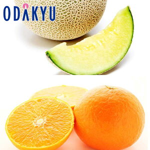 ݂  ΕDKi A[Xƍg܂ǂ 2kg G b121ȍ~zkCElEBEEւ͓͕s