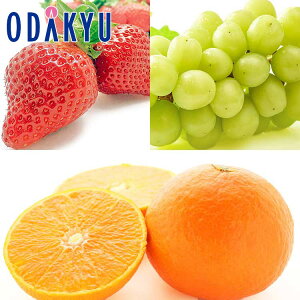  Ԃǂ  ΕDKi ґt[cƍg܂ǂ 1.5kg G b121ȍ~zkCElEBEEւ͓͕s