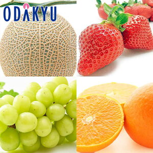  Ԃǂ  ΕDKi }XN̓ґt[cƍg܂ǂ 2.7kg G b121ȍ~zkCElEBEEւ͓͕s