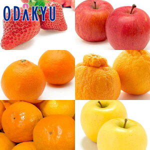  ݂  ܂Ə{ʃt[cZbg 3kg G b121ȍ~zkCElEBEEւ͓͕s