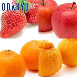    ܂Ƃ߃t[cZbg 1.6kg G b121ȍ~zkCElEBEEւ͓͕s