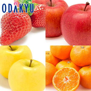    ܂12̃t[cZbg 2kg G b121ȍ~zkCElEBEEւ͓͕s