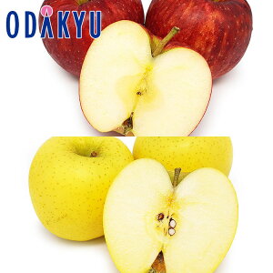   S[ffVX̌n WiS[h & VimS[h 2kg G b121ȍ~zEւ͓͕s