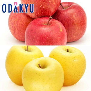 ь  2FZbg E Tӂ & VimS[h 3kg G b121ȍ~zEւ͓͕s