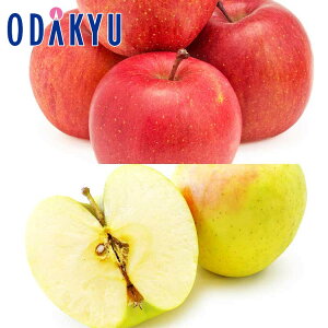 ь  ӂ̌nyނ񂲃Mtg TӂƂܖ 2.5kg G b121ȍ~zEւ͓͕s