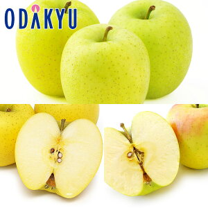 ь  񂲃ZNV  E VimS[h E ܖ 2.2kg G b121ȍ~zEւ͓͕s