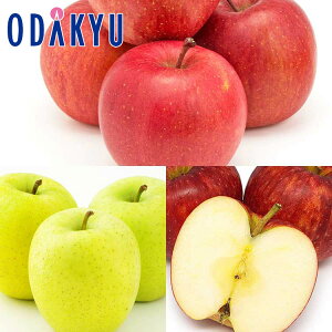 ь  X񂲂ՂHה Tӂ E  E WiS[h 4.8kg G b121ȍ~zEւ͓͕s