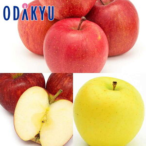   ̓~̖o Tӂ E WiS[h E ͂邩 2.2kg G b121ȍ~zEւ͓͕s