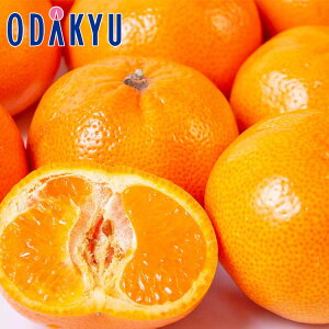   I2Yn x݂Zbg 3kg G b121ȍ~zEւ͓͕s