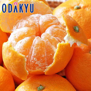   I3Yn x݂ 4.5kg G b121ȍ~zEւ͓͕s