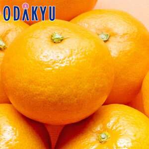   IB E Q E OP݂Hה 2kg × 3 v6kg G b121ȍ~zEւ͓͕s