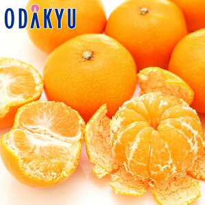   茧Y 茵I݂ 3Zbg ỏ E  E ܂ 2.5kg G b12{ȍ~zEւ͓͕s