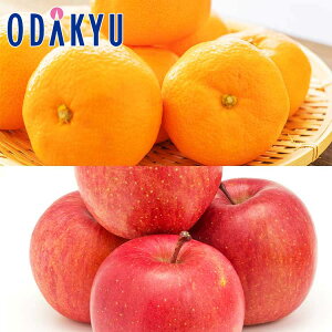    ~ґ x13xȏ݂ & TӂZbg 5kg G b121ȍ~zEւ͓͕s