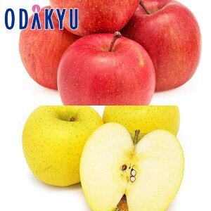    Tӂ & VimS[h 4.8kg G b121ȍ~zEւ͓͕s