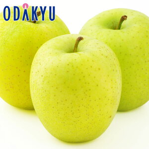 ь   т 2.4kg G b121ȍ~zEւ͓͕s