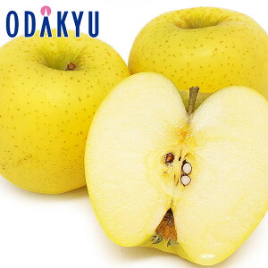    VimS[h2.4kg G b121ȍ~zEւ͓͕s