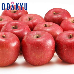    XY Tӂ2.4kg G b121ȍ~zEւ͓͕s