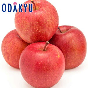    ʃTӂ2.4kg G b121ȍ~zEւ͓͕s