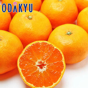    茧Y ̖oy ݂ 2.5kg G b121ȍ~zEւ͓͕s