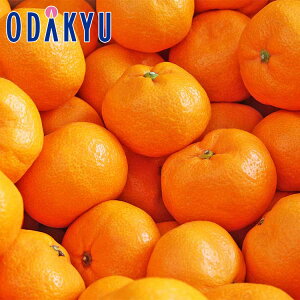    F{Y Ɋy F{݂ 2.5kg GED b121ȍ~zEւ͓͕s