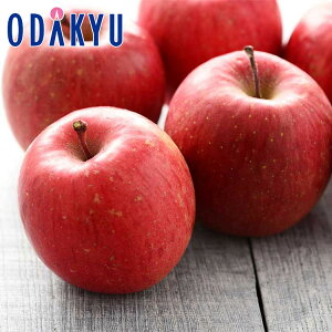   茧Y x14xȏ ]h̃Tӂ 4.8kg G b121ȍ~zEւ͓͕s