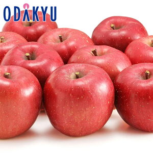   XY x13xȏ X̍xTӂ 2.4kg G b121ȍ~zEւ͓͕s