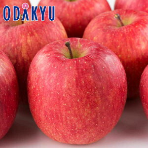   HcY x15xȏ Hc̍xTӂ 2.4kg G b121ȍ~zEւ͓͕s