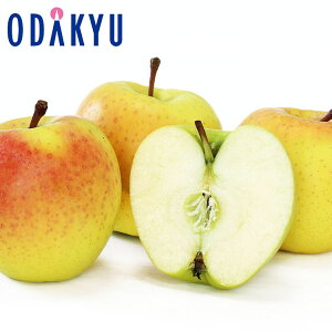   󏭂  ̋ 2.4kg Gi b121ȍ~zEւ͓͕s