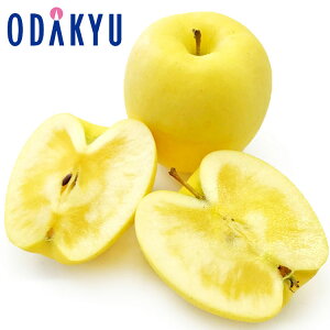   茧Y ~v~A 2kg G b121ȍ~zEւ͓͕s