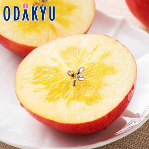   XY ݂ 1.6kg G b121ȍ~zEւ͓͕s