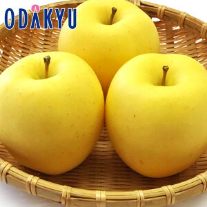   茧Y ~ 1.5kg G b121ȍ~zEւ͓͕s