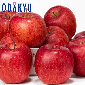   쌧ܖY ֌Δ_̃Tӂ 2.4kg G b121ȍ~zEւ͓͕s