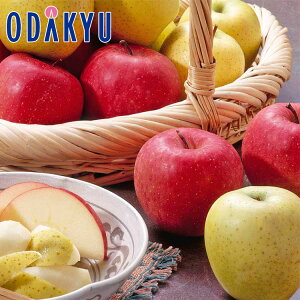 ь  x13xȏTӂƐ񂲃Zbg 4.8kg G b121ȍ~zEւ͓͕s