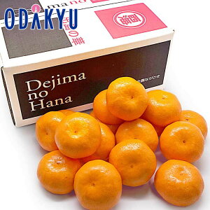   x14xȏ 茧Y ỏ؂݂ 1.5kg ZG b12{ȍ~zEւ͓͕s