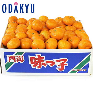   x13xȏ 茧Y ݂ 2.5kg G b121ȍ~zEւ͓͕s