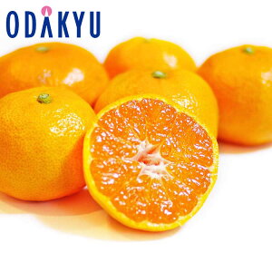   x14xȏ a̎RY ؏n݂201 1.8kg G b121ȍ~zEւ͓͕s