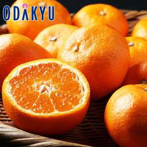   x13xȏ a̎RY ؏n݂ ɓV 5kg G b121ȍ~zEւ͓͕s