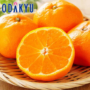   a̎RY ؏n݂ V 5kg G b121ȍ~zEւ͓͕s