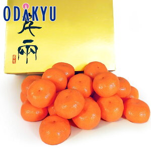   x12xȏ QY ̊ۃS[h݂ 5kg G b121ȍ~zEւ͓͕s