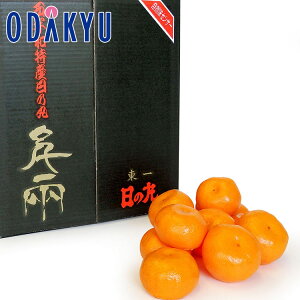   QY ̊ۂ݂ 2.5kg G b121ȍ~zEւ͓͕s