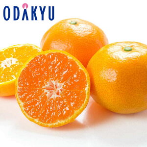   x12xȏ ꌧY S݂ 5kg G b121ȍ~zEւ͓͕s