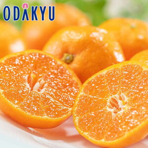   ꌧY l݂ 2.5kg G b121ȍ~zEւ͓͕s