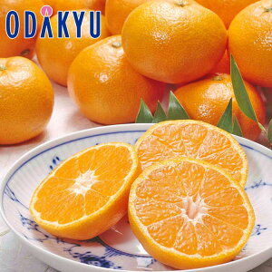   x12xȏ {̍x݂ 2.5kg G b121ȍ~zEւ͓͕s