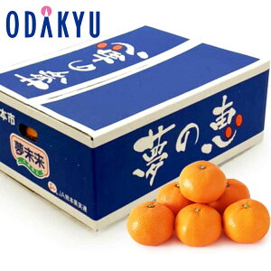   x12xȏ F{Y ̌b ݂ 4kg G b121ȍ~zEւ͓͕s