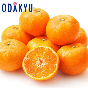   F{Y  ݂ 8kg G b121ȍ~zEւ͓͕s