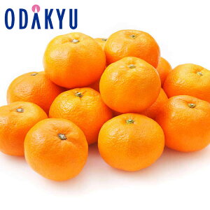   ÉY OP݂ 4kg G b121ȍ~zEւ͓͕s