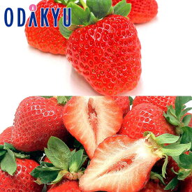 いちご 送料無料 熊本県菊池産 ひのしずく 黒箱 ＆ 福岡県産 あまおう DX 約0.5kg ｜7-12日程度でのお届け※沖縄・離島へは届不可(直)