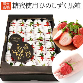 いちご 送料無料 限定販売 熊本県菊池産 糖蜜使用 ひのしずく 約0.7kg 黒箱 ｜7-12日程度でのお届け※沖縄・離島へは届不可(直)