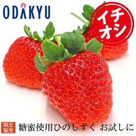 いちご 送料無料 限定販売 熊本県菊池産 糖蜜使用 ひのしずく ハーフ 約0.3kg ｜7-12日程度でのお届け※沖縄・離島へは届不可(直)